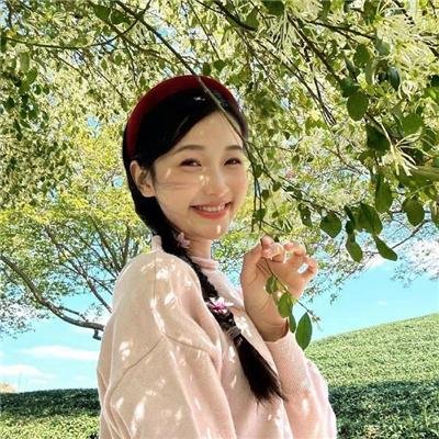 故剑长情